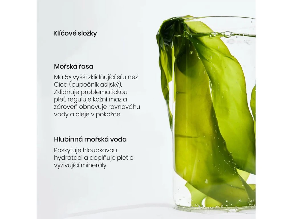 Refreshing Sea Kelp Osvěžující korejská maska s mořskou řasou
